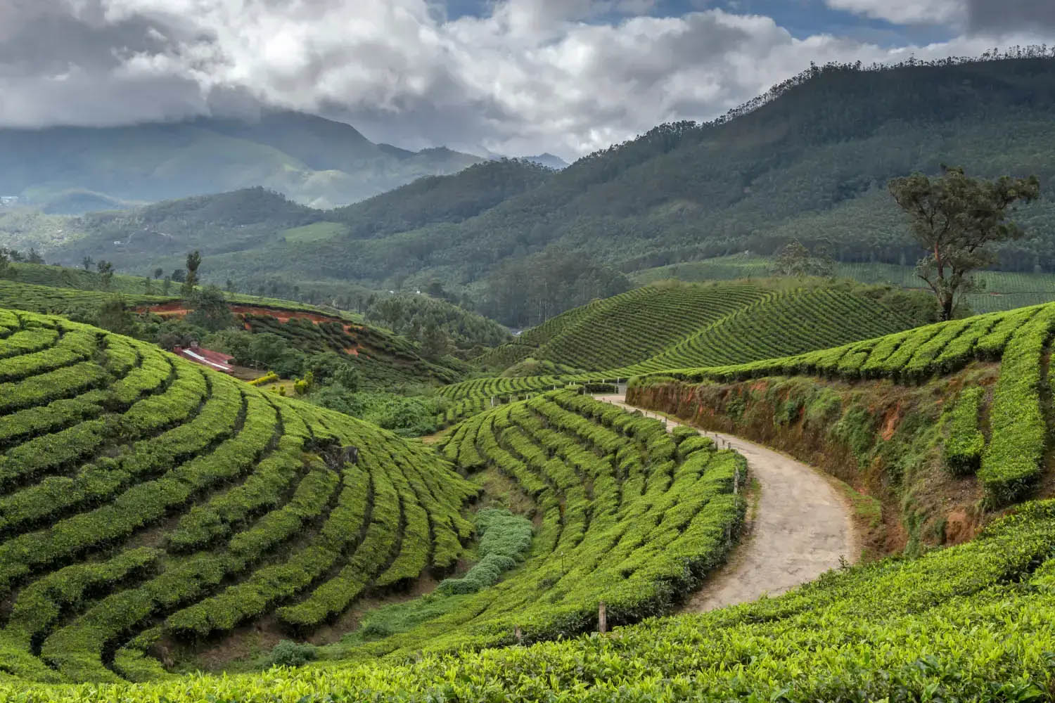 Kerala Tour Packages