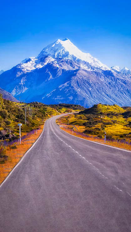 New Zealand Tour Package