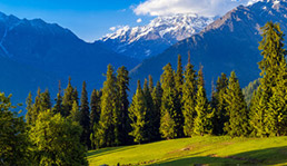 Himachal-Small-Tiles